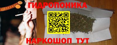 прущие грибы Обнинск