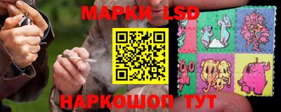 прущие грибы Обнинск