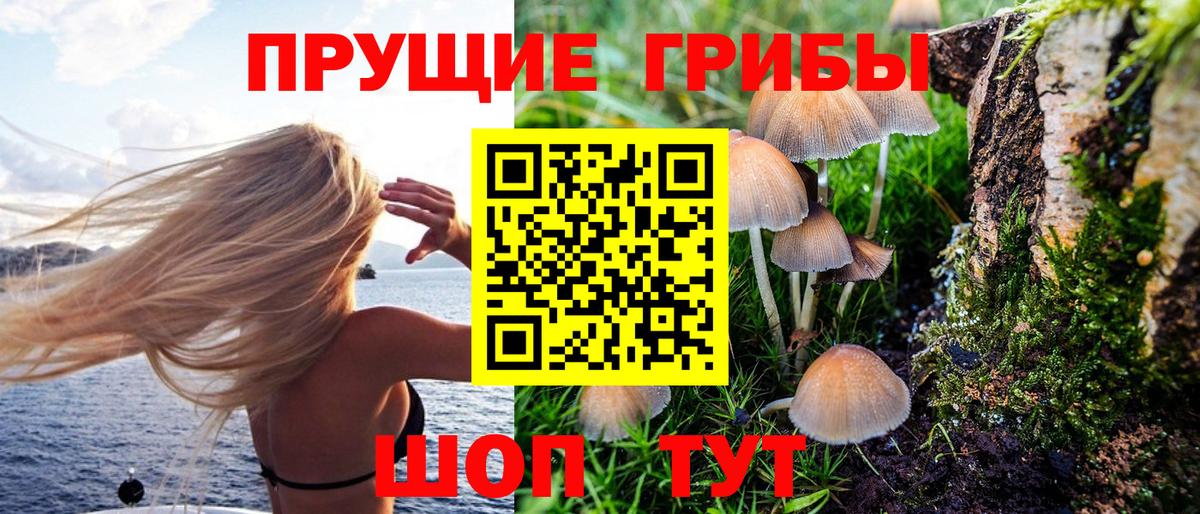 Галлюциногенные грибы Psilocybe  Вход с VPN  Артёмовский 